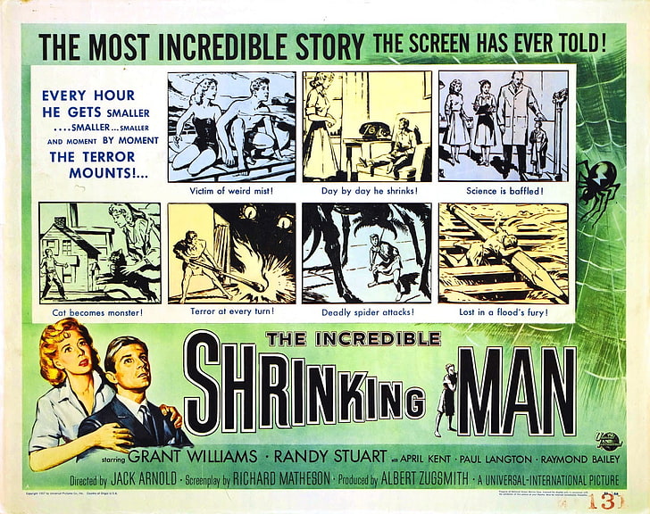 The Incredible Shrinking Man, Film posters, B movies, psychotronics, HD wallpaper