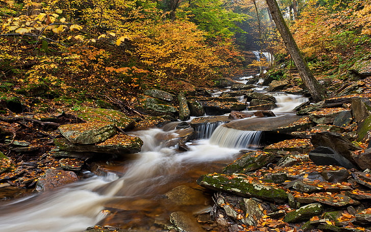 Ricketts Glen State Park Pennsylvania United States Autumn Photography River Forest Trees With Red Leaves Rocks Water  Landscape Wallpaper Hd 3840×2400