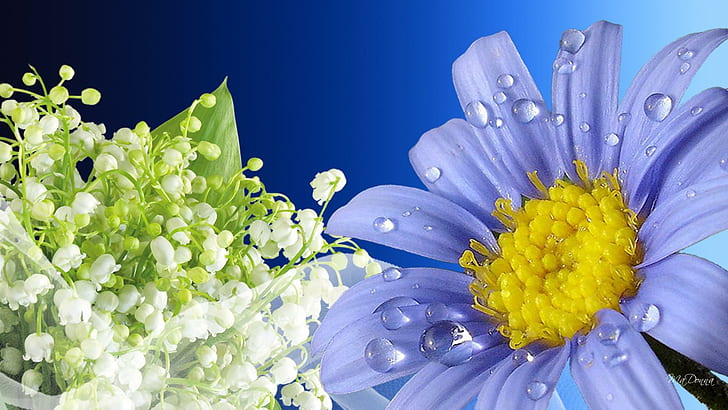 Freshness Of Flowers, blue and white flowers, lily of the valley
