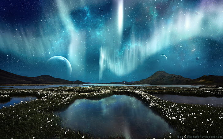 Aurora Borealis Northern Lights Landscape Night Stars Flowers Marsh Grass Planets HD, HD wallpaper