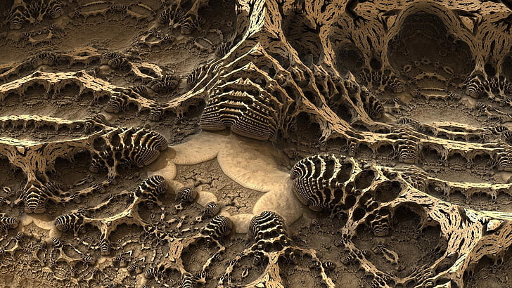Fosili - Page 8 Landforms-fossil-fractal-art-digital-art-wallpaper-preview