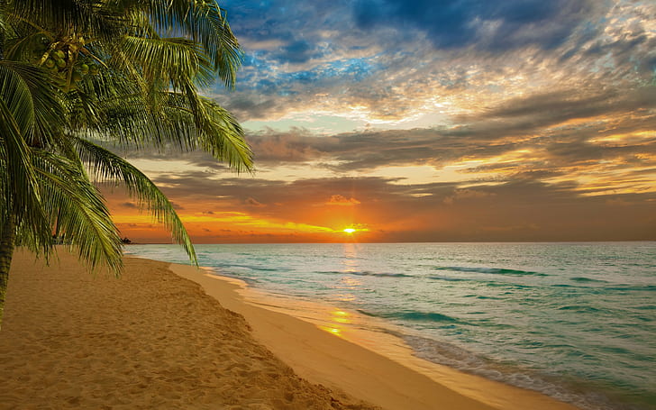 Sunset beach sea shore, beach with white sands, Nature s, hd, HD wallpaper