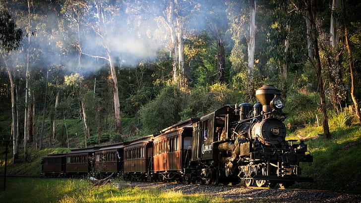 sunlight, smoke, trees, Australia, train, grass, steam locomotive, HD wallpaper