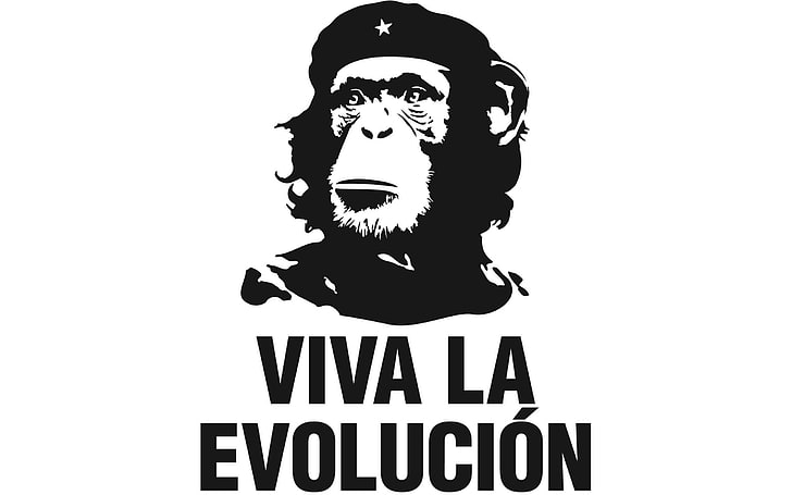 Viva La Evolucion wallpaper, humor, white background, Che Guevara