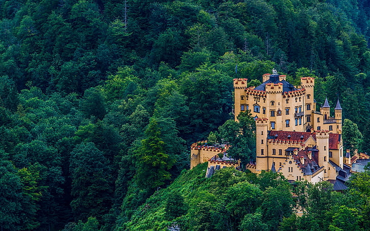 city, castle, Hohenschwangau, Schloss Hohenschwangau, tree, HD wallpaper