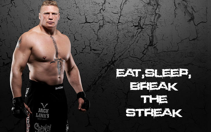 WWE 2K23 Brock Lesnar Wallpaper, HD Games 4K Wallpapers, Images and  Background - Wallpapers Den