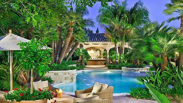 resort, palm, pool, summer, swimming pool, estate, summertime, HD wallpaper