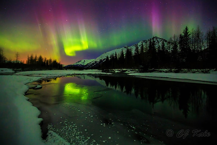 aurora borealis, aurorae, winter, night, snow, landscape, beauty in nature, HD wallpaper