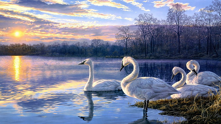 swan, reflection, water, water bird, lake, painting art, pond