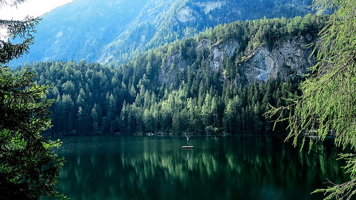 trees, lake, nature, mountains, landscape, reflection, plant, HD wallpaper
