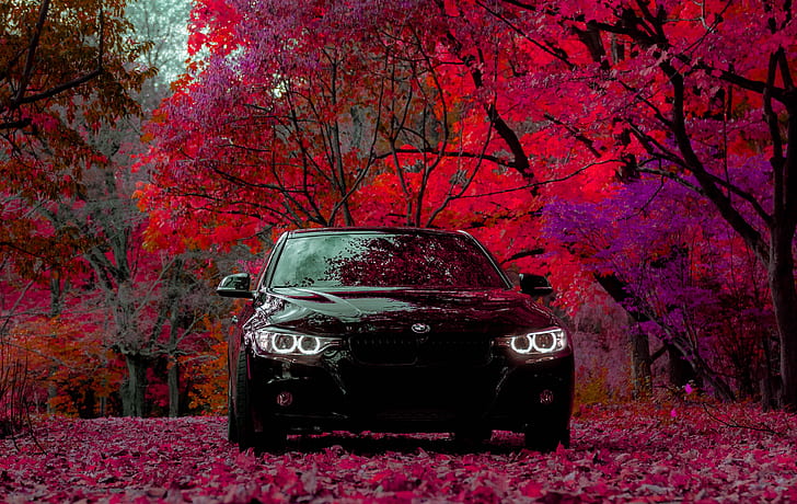 BMW, BMW F30, black cars, trees, vehicle