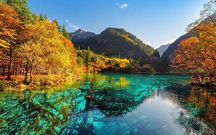 Five Flower Lake Bottom With Old Fallen Trunks China Jiuzhaigou Park Valley Autumn Nature Mountains 3840×2400, HD wallpaper