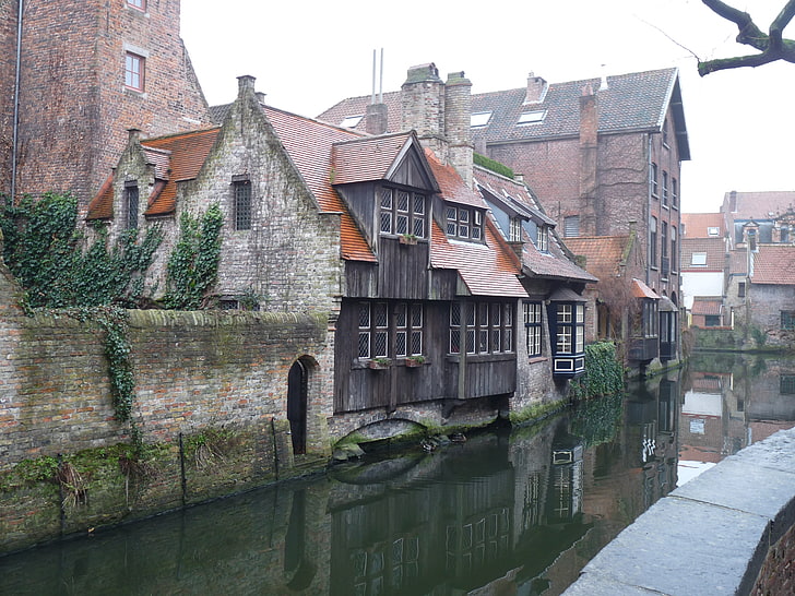 brown and black house, city, Belgium, Bruges, river, Europe, architecture, HD wallpaper