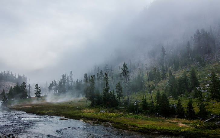 Yellowstone National Park, Forest, River, Mist, Mountains, Landscape, Nature, HD wallpaper