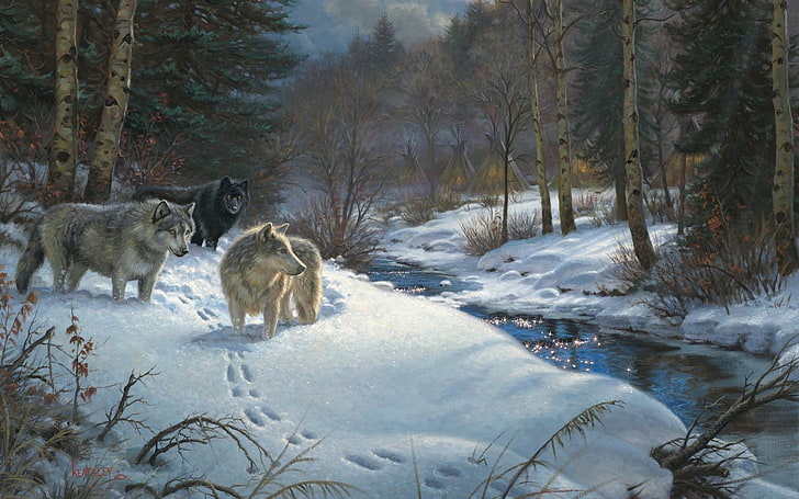 men's white and black dress shirt, wolf, forest, winter, snow, HD wallpaper
