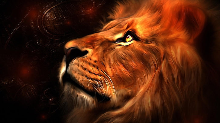 HD wallpaper: lion of judah, animals, one animal, animal themes, mammal,  close-up | Wallpaper Flare