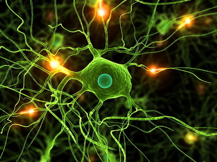 green cell illustration, Artistic, Neuron, illuminated, glowing