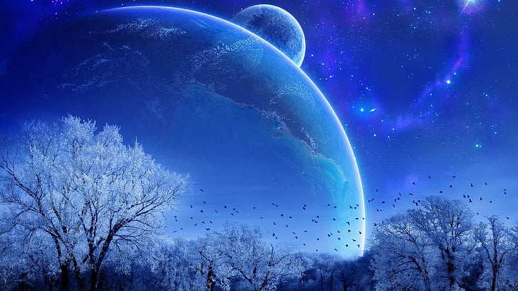 planets, sci-fi, snow, stars, birds, trees, cold, blue, starry, HD wallpaper