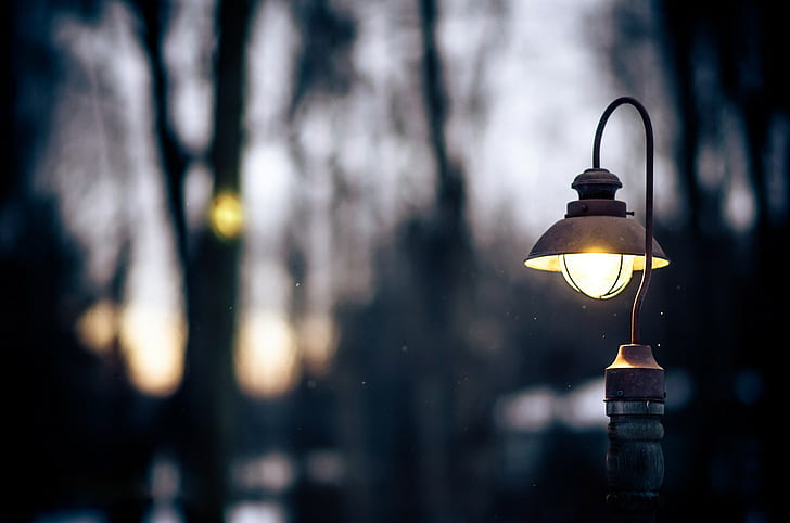 Lantern Light, winter, snow, fall, evening, Nature, trees, twilight, HD wallpaper