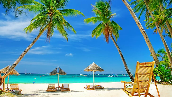 tropics, caribbean, vacation, resort, leisure, palm tree, sea, HD wallpaper