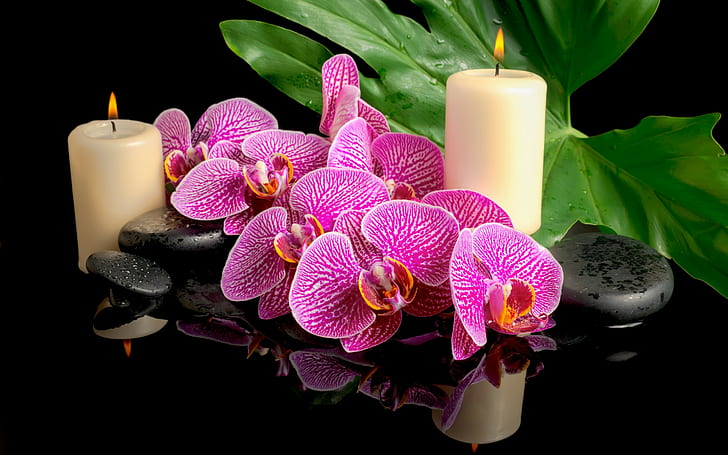 Spa candles and orchid, leaf, flower, Spa stones, drops