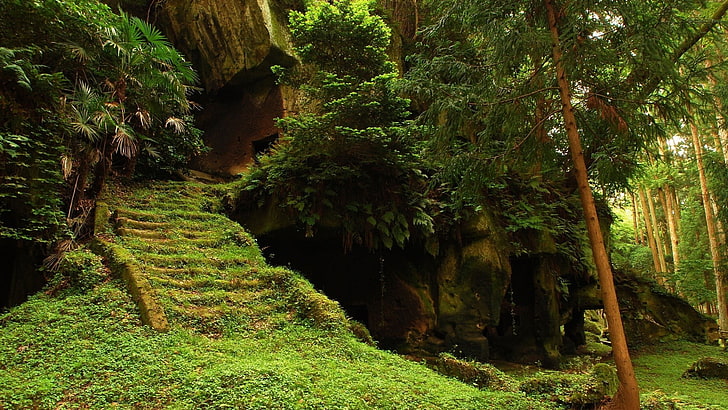 photo of caverns during daytime, overgrown, stairs, plant, tree