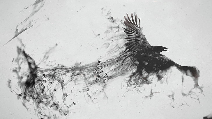 black Raven with smoke artwork, bird, flying, black white, black And White