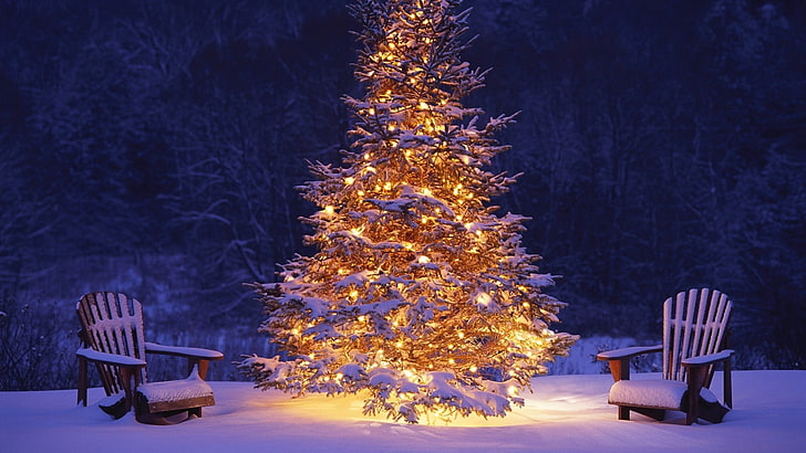 night, Christmas, tree, christmas tree, celebration, plant, HD wallpaper