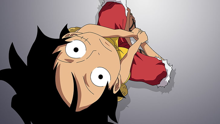 One Piece Luffy wallpaper, Monkey D. Luffy, anime, animal representation