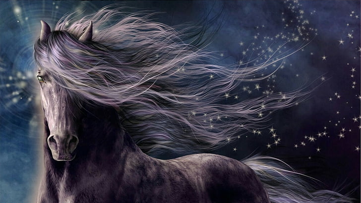 Animals Handsome Black Horse And Black Beauty Hd Wallpaper :  Wallpapers13.com