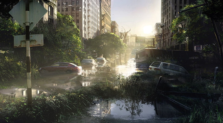 red sedan, The Last of Us, water, transportation, motor vehicle