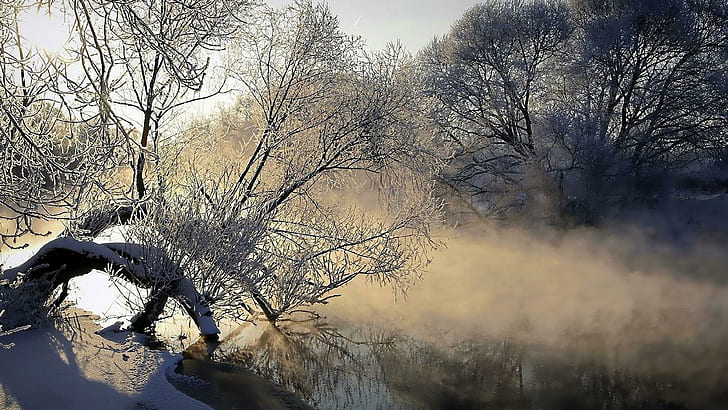 hoarfrost, river, mist, tree, ice, cold, evaporation, dawn