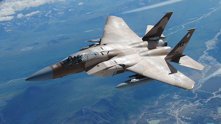 gray fighter aircraft, Jet Fighters, McDonnell Douglas F-15 Eagle
