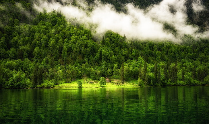 nature, landscape, Germany, lake, reflection, trees, mist, forest, HD wallpaper