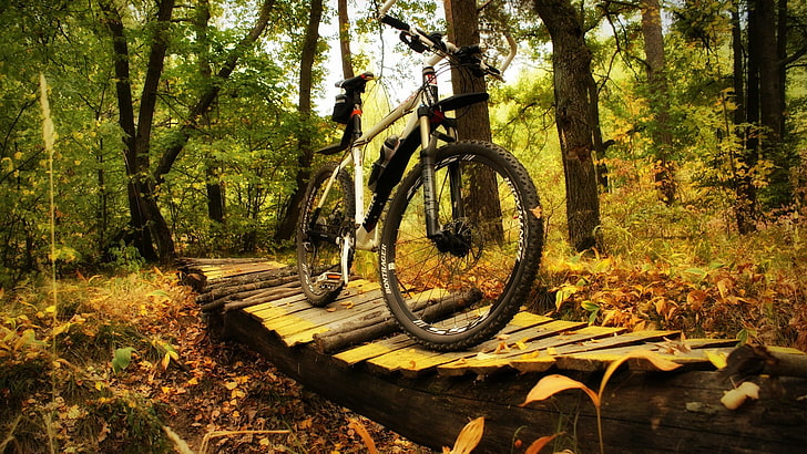 gray and black hardtail bike, bicycle, nature, transportation, HD wallpaper