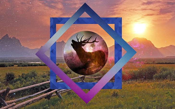 nature, deer, peaceful