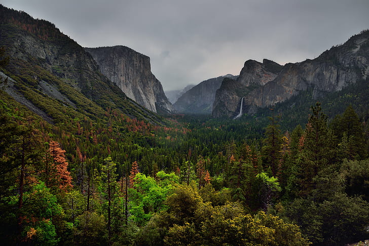 landscape photo of mountain and forest, yosemite national park, yosemite national park, HD wallpaper
