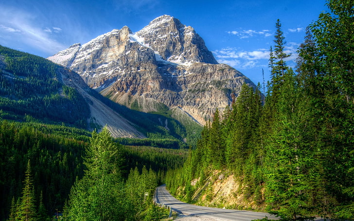 landscape, Canada, mountain, tree, scenics - nature, beauty in nature, HD wallpaper