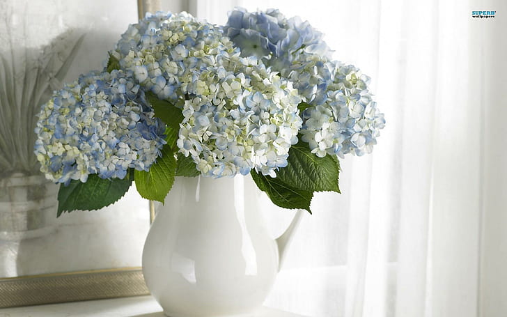 A Vase Of Lovely Hydrangeas, white ceramic flower vase and white,yellow, and blue flowers