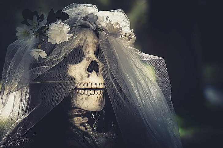 skull, flowers, bones, brides, flowering plant, art and craft