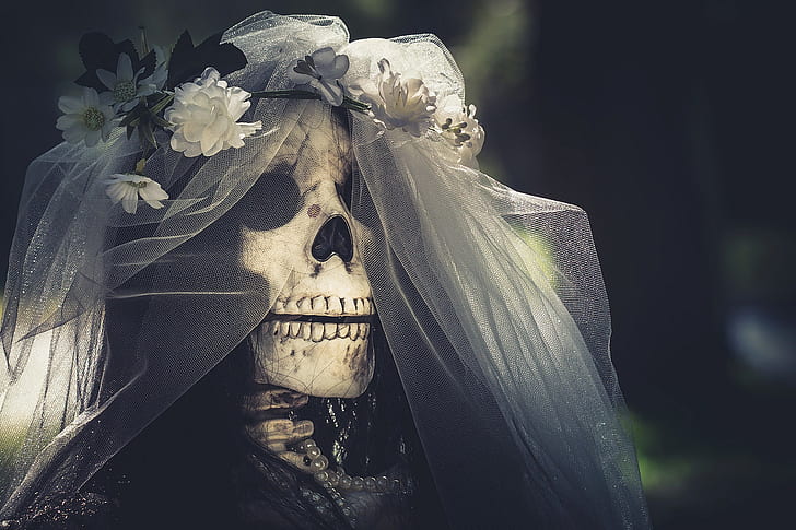 skull, the bride, veil, HD wallpaper