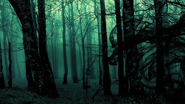 forest, green, trees, dark, nature, spooky, digital art, HD wallpaper