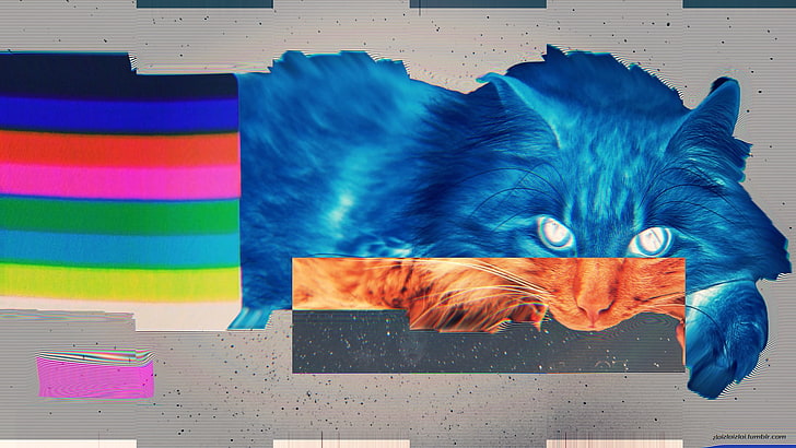 cat illustration screenshot, glitch art, LSD, abstract, multi colored