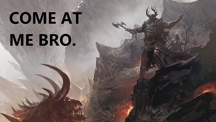 dragon, armor, axes, Come at me bro, Guild Wars 2, HD wallpaper