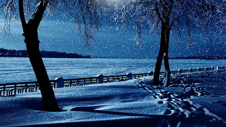 snow, nature, freezing, sky, winter, tree, fence, snowy, blue, HD wallpaper
