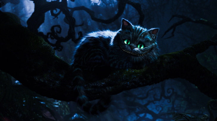 Alice in Wonderland, Cheshire Cat, one animal, pets, feline, HD wallpaper