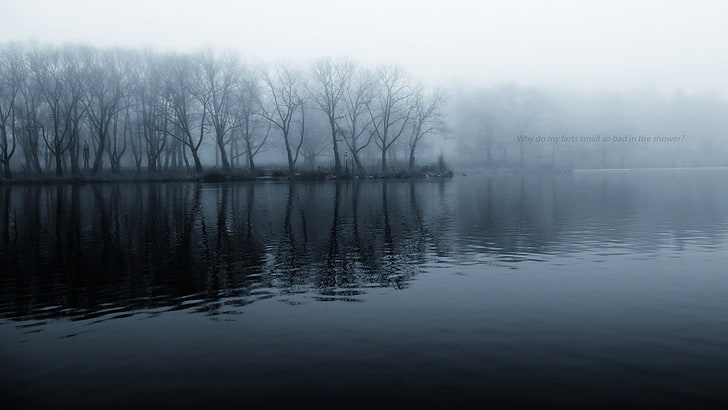 body of water, nature, mist, trees, fog, tranquility, reflection