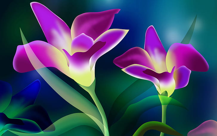 Flowers, Pink Flowers, Beautiful, Blooming, purple flowers illustration