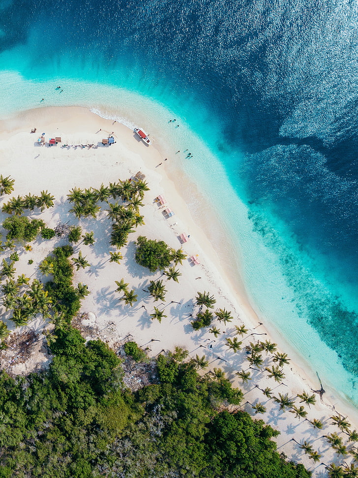 nature, water, beach, trees, sand, top view, aerial view, sea