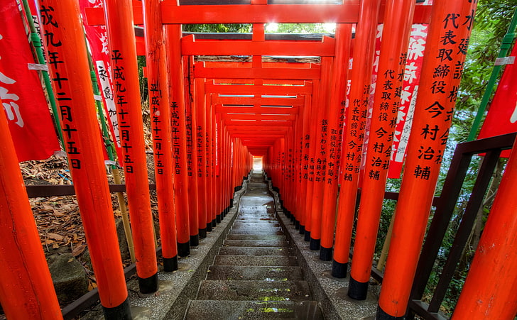 Light at the End of the Torii, Asia, Japan, Japanese, Tokyo, Gate